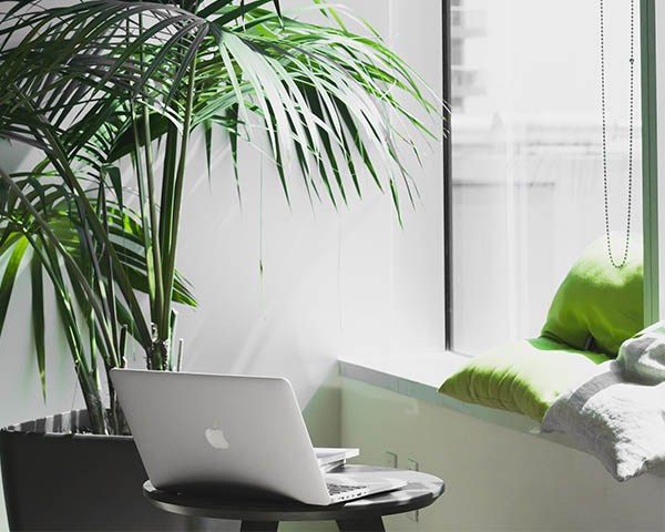 apprendre a bosser en télétravail - opportunité de formation