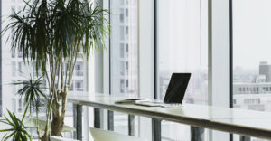 bilan de compétences